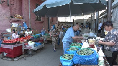 Сезон грибів на Вінниччині: які продають та скільки коштують Сезон грибів на Вінниччині: які продають та скільки коштують