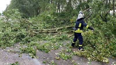 житомир, негода, вода, дерева, дснс, 29 липня 2025 року