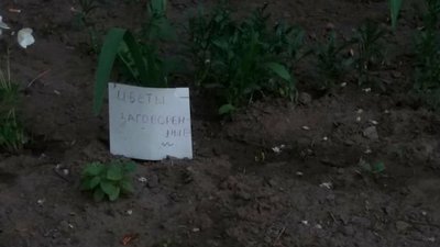Квітковий крадій – у рівненському СІЗО. Історії подібних злочинів в Україні і світі Квітковий крадій – у рівненському СІЗО. Історії подібних злочинів в Україні і світі