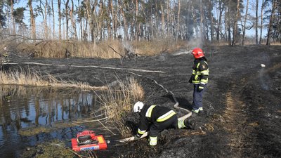 Понад 400 пожеж на Харківщині трапилися за місяць через випалювання трави Понад 400 пожеж на Харківщині трапилися за місяць через випалювання трави