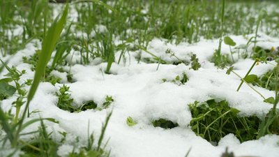 "Це аномальна погода": синоптик про сніг у Запоріжжі у квітні "Це аномальна погода": синоптик про сніг у Запоріжжі у квітні
