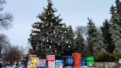 Новорічна жива ялинка у Лубнах
