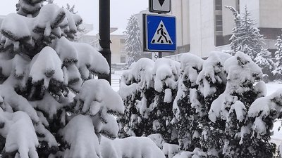 зима, сніг