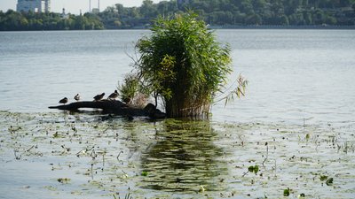 "Відновити "Каховське море" і використовувати екологічно": інтерв'ю з гідрологом з Дніпропетровщини "Відновити "Каховське море" і використовувати екологічно": інтерв'ю з гідрологом з Дніпропетровщини