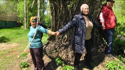 Люди стали на захист. На Сумщині хочуть випиляти сад якому майже 70 років