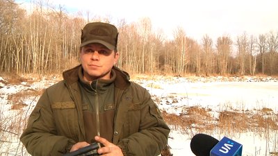 Лісівники Житомирщини розпочали підрахунок кількості звірів у лісах області Лісівники Житомирщини розпочали підрахунок кількості звірів у лісах області