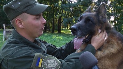 Пес Шериф на службі: історія службової вівчарки хмельницьких нацгвардійців Пес Шериф на службі: історія службової вівчарки хмельницьких нацгвардійців