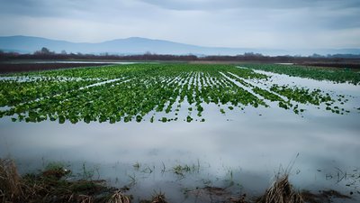 На території Закарпатської області триває підняття рівня води у річках