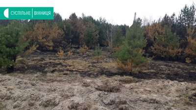 На Вінниччині не припиняються пожежі в екосистемах
