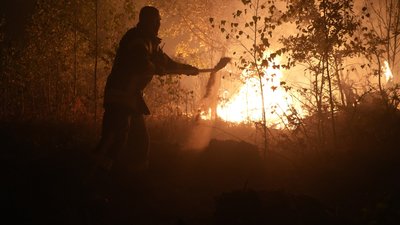 Нічна пожежа в глибині лісу в Луцькому районі: лісова підстилка може загорятися ще декілька днів Нічна пожежа в глибині лісу в Луцькому районі: лісова підстилка може загорятися ще декілька днів