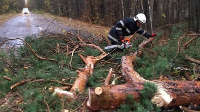 Повалені дерева, підтоплені будинки та відключення світла: наслідки негоди на Житомирщині