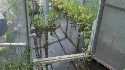 «Вода – до коліна»: у Полтаві дощовою водою затопило чотири приватні подвір’я «Вода – до коліна»: у Полтаві дощовою водою затопило чотири приватні подвір’я