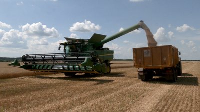Жнива на Чернігівщині: область посіла друге місце зі збору зернових