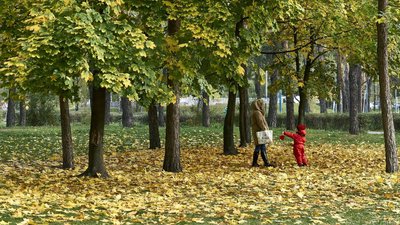Сухо та тепло: погода на вихідні у Кіровоградській області