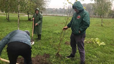Мільйон дерев за добу: Вінниччина долучилась до всеукраїнського рекорду Мільйон дерев за добу: Вінниччина долучилась до всеукраїнського рекорду