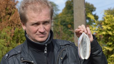 У ботанічному саду Дніпра вперше за 20 років виросли плоди екзотичної рослини акебії