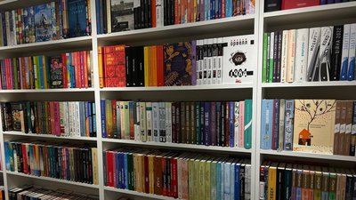 Прикарпатські митці закликають підтримати петицію про заборону ввозити російську літературу в Україну Прикарпатські митці закликають підтримати петицію про заборону ввозити російську літературу в Україну