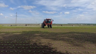 Посівна кампанія, Тернопільщина, травень 2024 Посівна кампанія, Тернопільщина, травень 2024