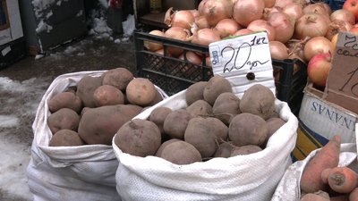 Падіння цін на овочі: яка ситуація на ринку в Рівному Падіння цін на овочі: яка ситуація на ринку в Рівному