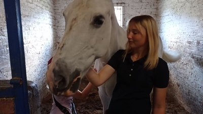 Як пережили бойові дії спортивні коні із Сумського району Як пережили бойові дії спортивні коні із Сумського району