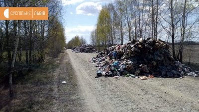 Перевізника, який викинув львівське сміття на Житомирівщині, покарають