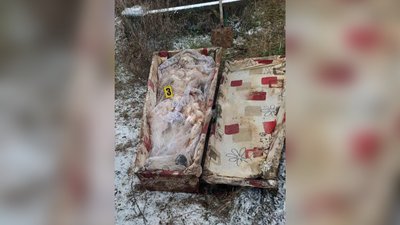 У деокупованій громаді на Миколаївщині правоохоронці ексгумували тіла трьох підлітків У деокупованій громаді на Миколаївщині правоохоронці ексгумували тіла трьох підлітків