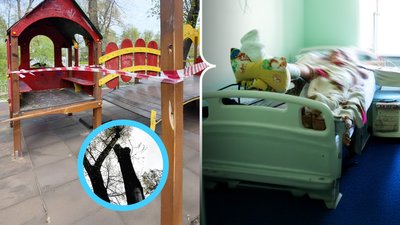 дерево впало на 11-річну дівчинку
