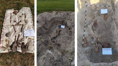 На Житомирщині знашли останки трьох солдатів Червоної армії На Житомирщині знашли останки трьох солдатів Червоної армії