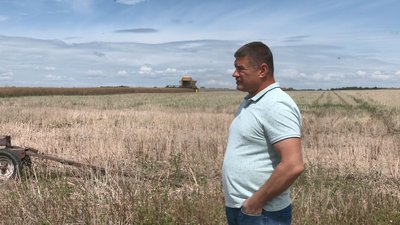 На Черкащині збирають ріпак: чи задоволені фермери врожаєм