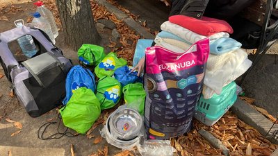 Підшукали дім для 42 чотирилапих. У Миколаєві відбулась виставка-прилаштування тварин Підшукали дім для 42 чотирилапих. У Миколаєві відбулась виставка-прилаштування тварин