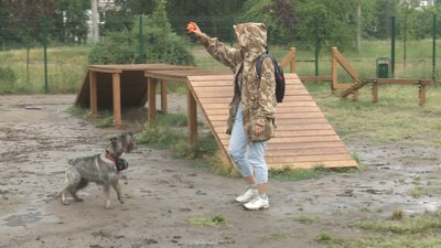У Дніпрі планують збудувати майданчики для вигулу собак