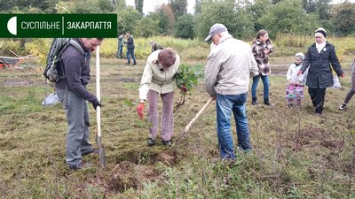 Дерева та кущі висаджували на трьох локаціях в Ужгороді Дерева та кущі висаджували на трьох локаціях в Ужгороді