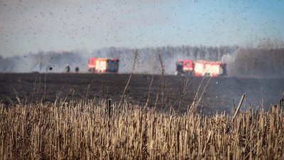 Випалена земля: ДСНС показала наслідки пожежі в Обухівському районі на Київщині Випалена земля: ДСНС показала наслідки пожежі в Обухівському районі на Київщині