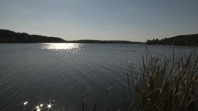 "Житомирводоканал" має провести зариблення річки Тетерів після скидів у водойму неочищених стоків