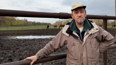 Кінь на фермі Миколи Касаткіна