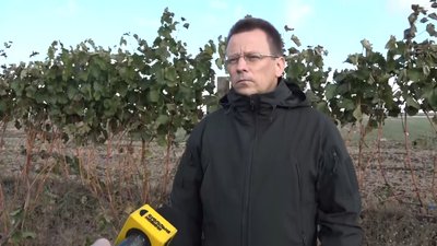 Горіхові сади та виноградники: на Житомирщині навчають жінок вести бізнес у сільському господарстві Горіхові сади та виноградники: на Житомирщині навчають жінок вести бізнес у сільському господарстві