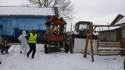 На Тернопільщині жителі села водили Маланку