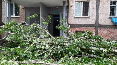 У Корабельному районі Миколаєва буревій повалив дерева. Одне з них заблокувало під’їзд У Корабельному районі Миколаєва буревій повалив дерева. Одне з них заблокувало під’їзд