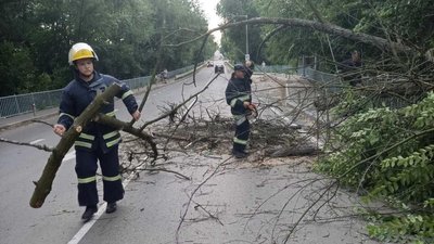 Негода знеструмила 35 населених пунктів у Житомирській області, сильний вітер повалив дерева