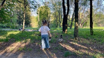 Погода у Черкасах на вихідні 9-10 травня