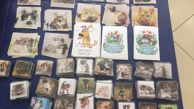 У Тернополі продають книги, щоб допомогти безпритульним тваринам У Тернополі продають книги, щоб допомогти безпритульним тваринам