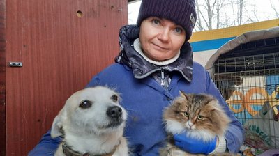 У Кропивницькому в притулку для бездомних тварин не вистачає їжі, дров та утеплювачів для будок