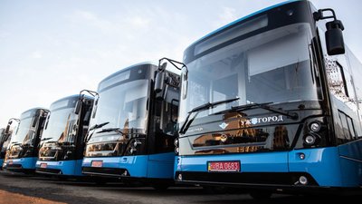 Велосипедом, пішки або автобусом: в Ужгороді на день відмовляться від автомобілів
