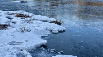 Річка в Ужгороді