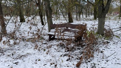 негода, наслідки, розкидані гілки негода, наслідки, розкидані гілки