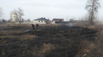 У Личманах Овруцького району через лісові пожежі 50 жителів втратили домівки
