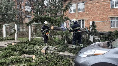 Наслідки негоди у Чернівцях 29 березня