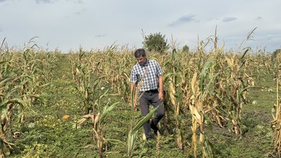 Нові критерії бронюваня аграріїв: що відомо