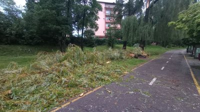 Гроза в Івано-Франківську: підтоплені вулиці та повалені дерева Гроза в Івано-Франківську: підтоплені вулиці та повалені дерева