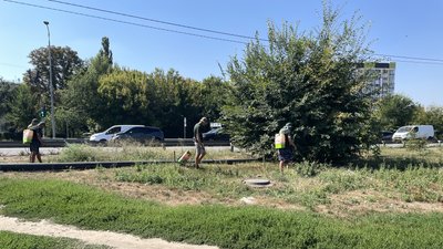 Боротьба проти амброзії у Полтаві